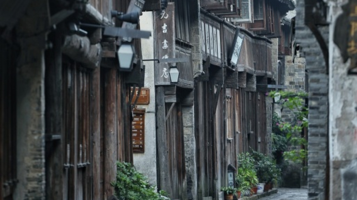 Фото: Will Zhang, pixabay.com