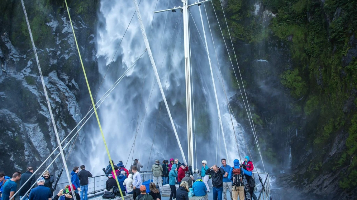 Фото наших партнеров JustGo ThereNZ