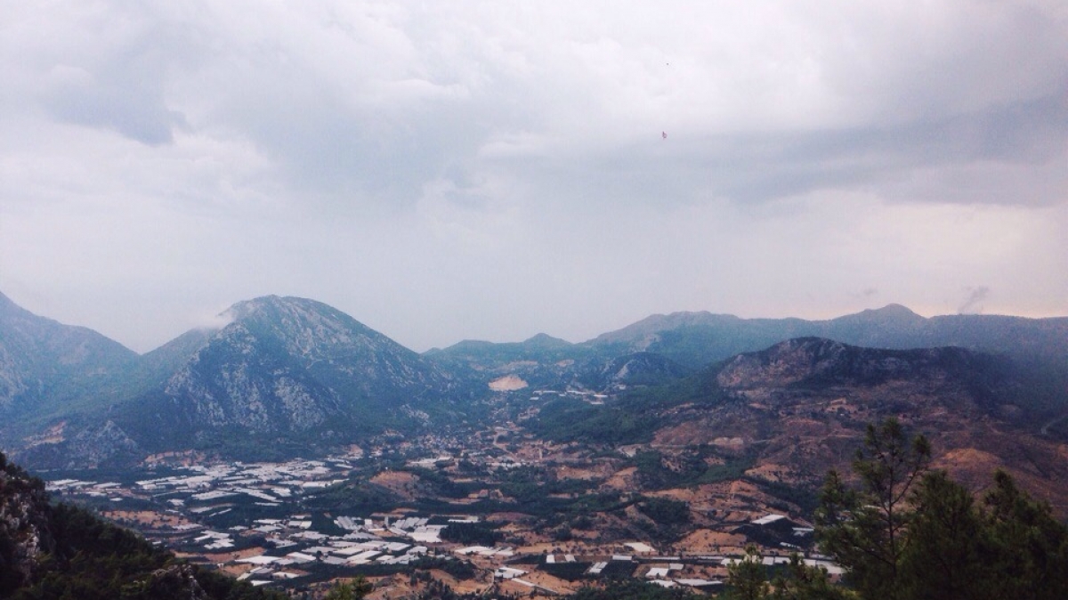 Фото Татьяны Швыряевой