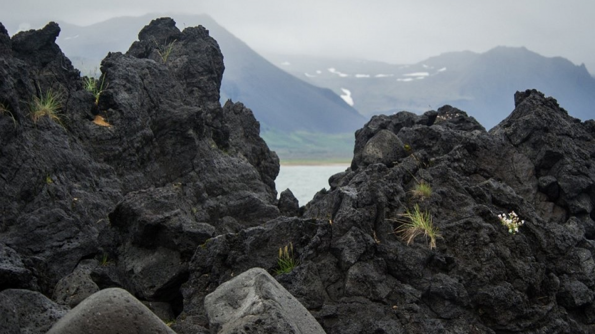 Фото из архива Клуба