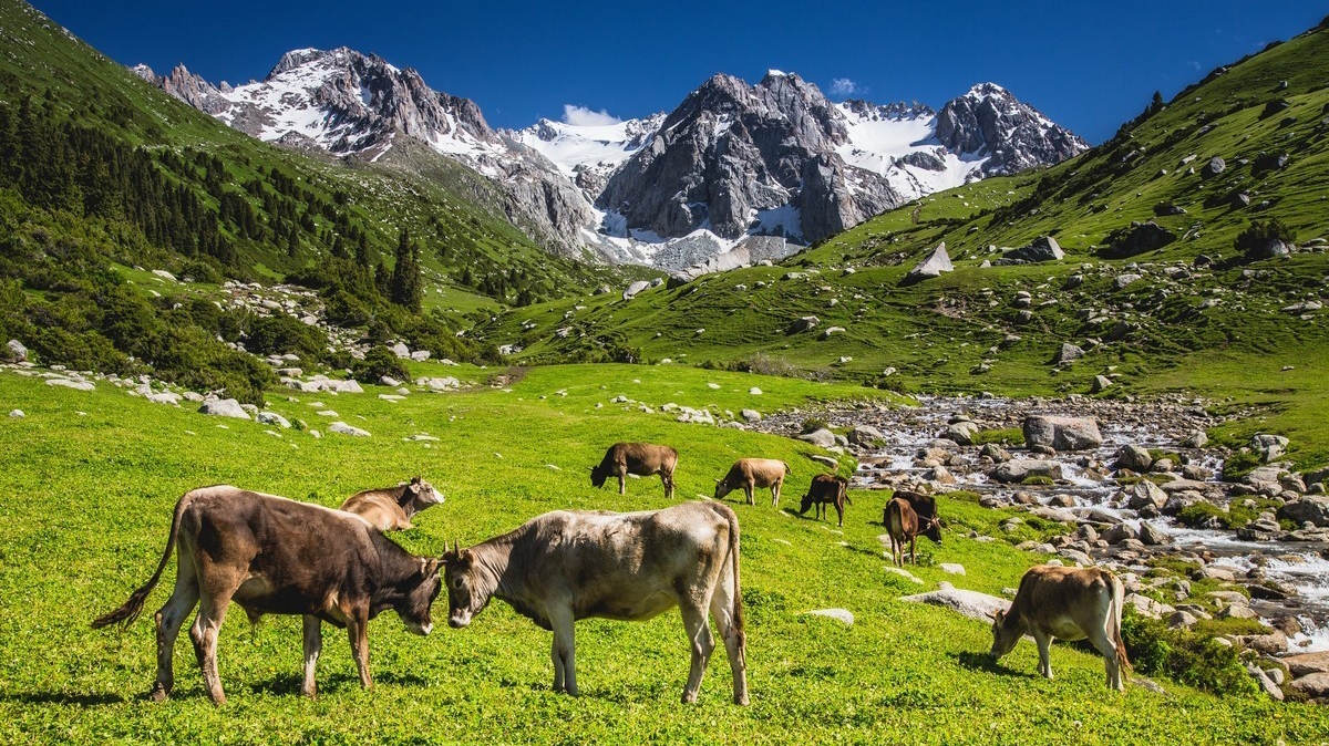 Фото: Самарин Михаил