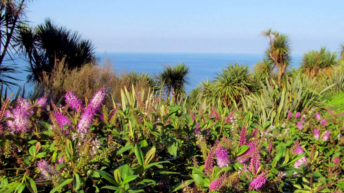 В Ботаническом саду. Фото нашего гида Ирины Пряничниковой