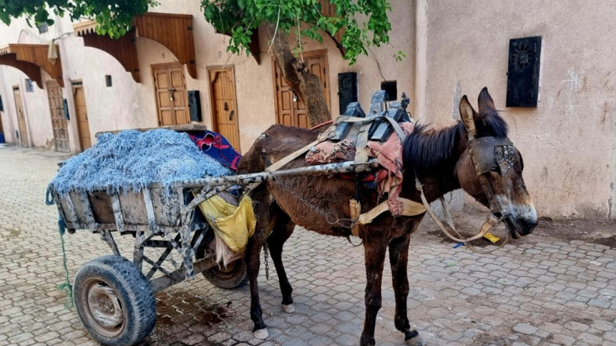 Фото нашего Странника Антона Воронова