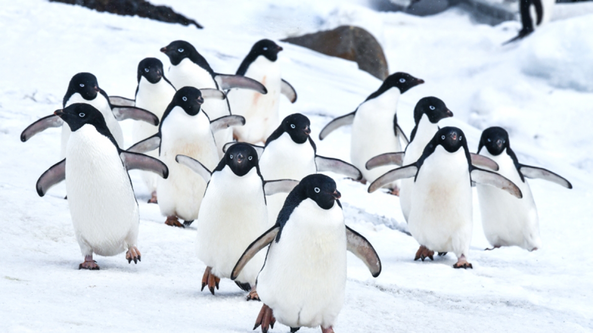 Фото из архива Клуба