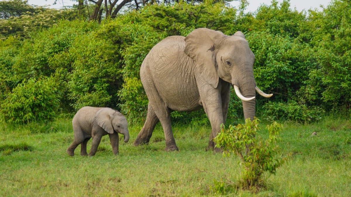 Фото: Jason Zhao, unsplash.com