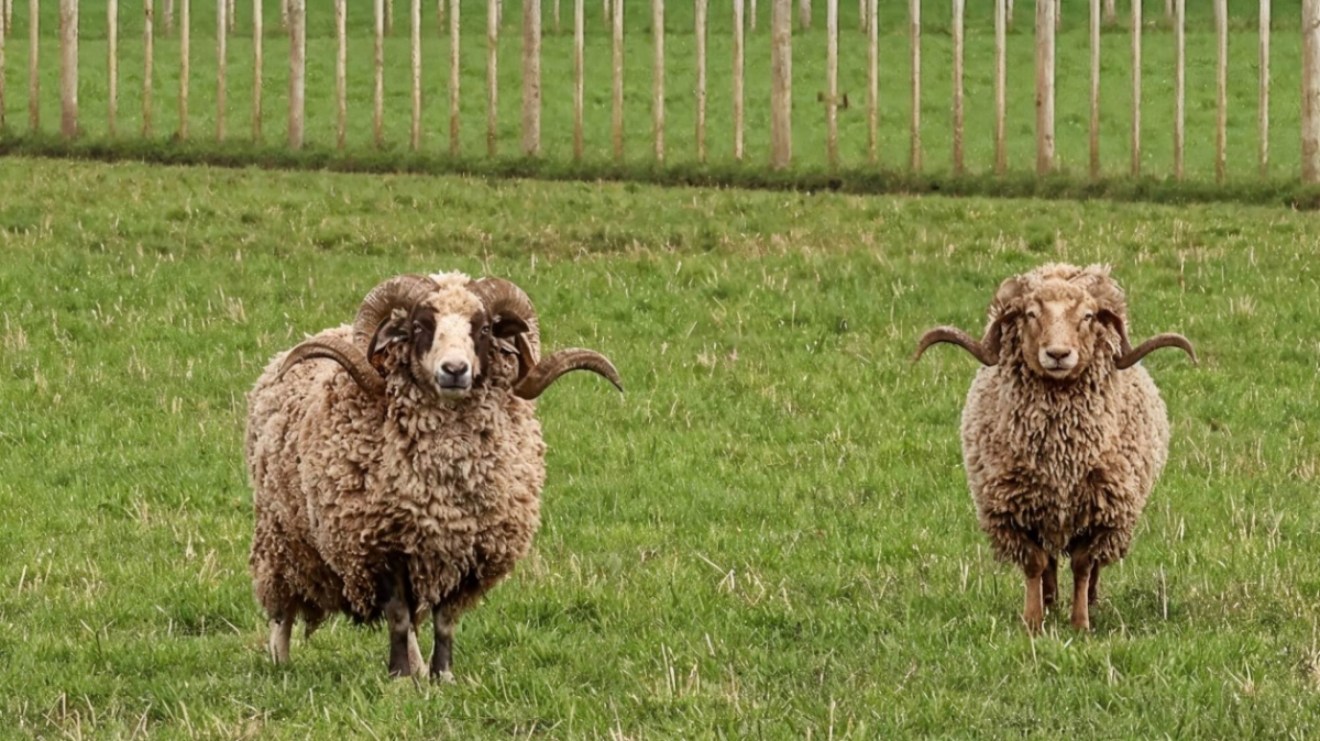 Фото из архива Клуба