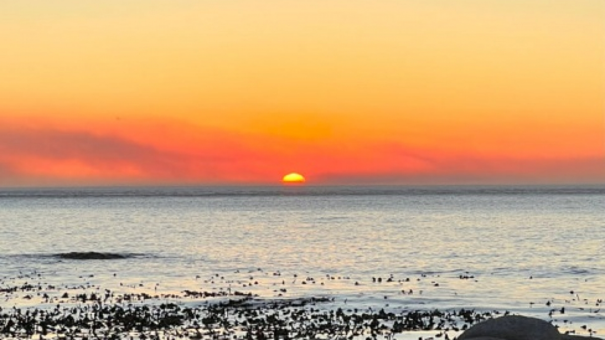 Фото: наш гид Алексей Шорец