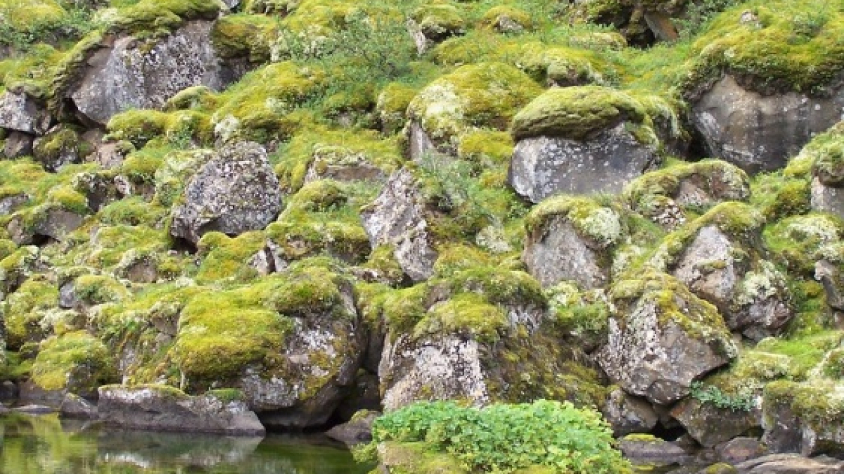 Фото: Bods on VisualHunt