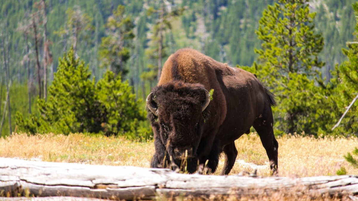 Фото: Chloe Leis, unsplash.com