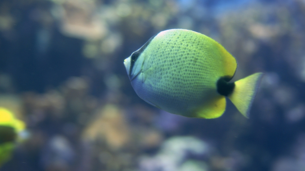 Автор: washuugenius.
Источник: visualhunt.com