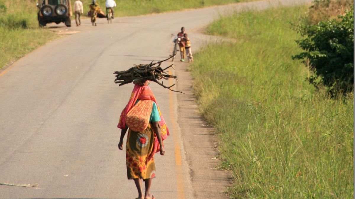 Фото: Marc Veraarta, visualhunt.com