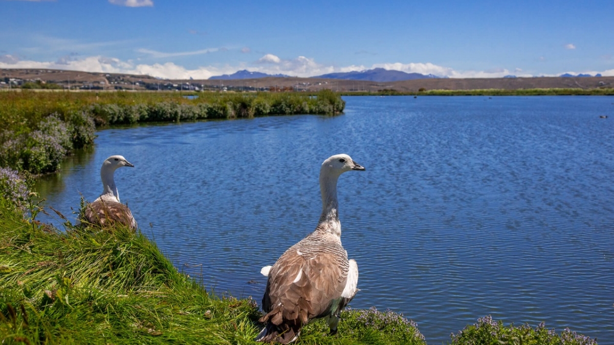Фото нашей Странницы Татьяны Руновой
