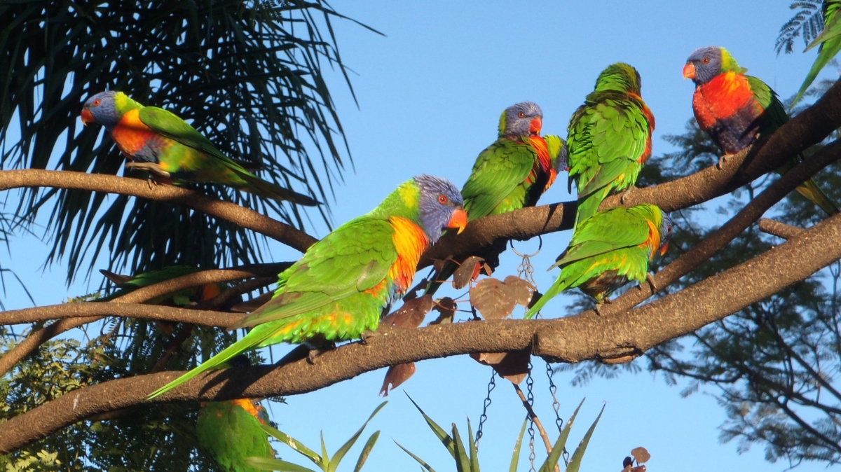 Фото: Shantigirl, visualhunt.com