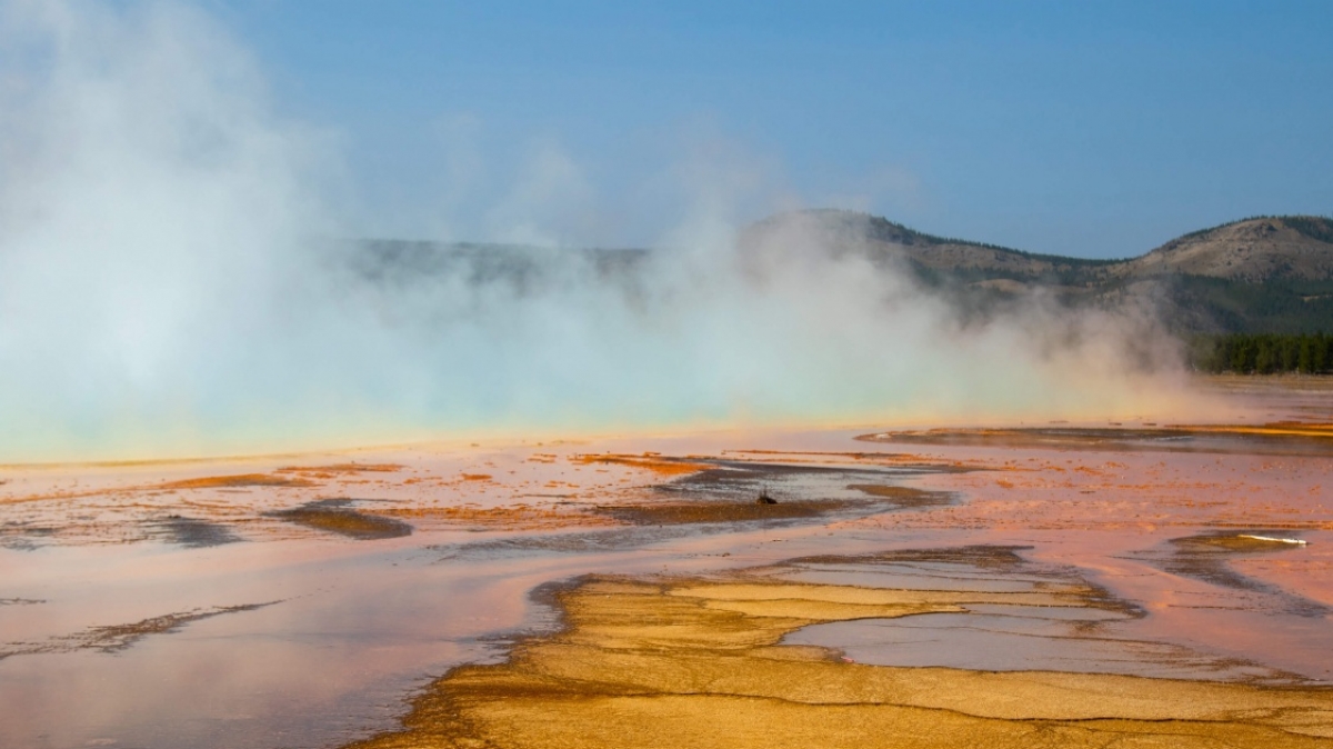 Фото: Colton Jones, unsplash.com