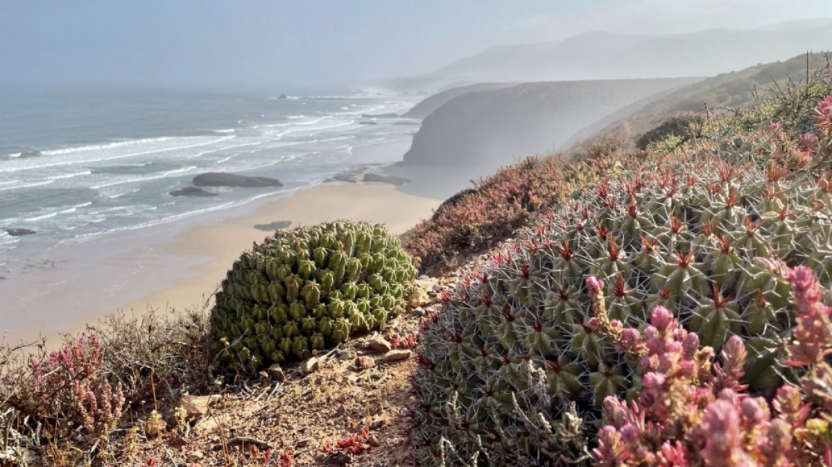 Фото наших Странников