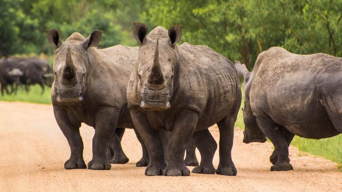 Автор: brainstorm1984, источник: visualhunt