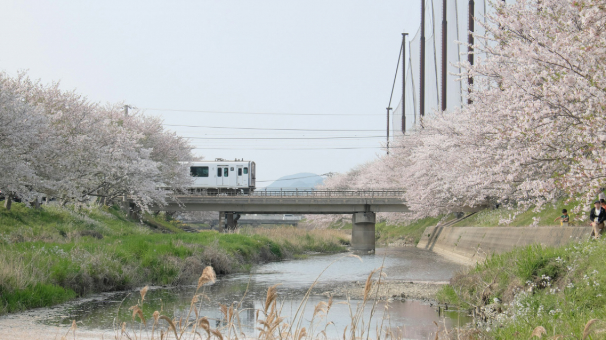 Фото: Akihiko Sayo on unsplash