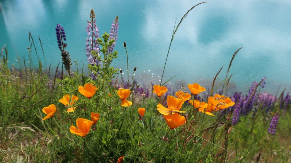 Фото из архива Клуба