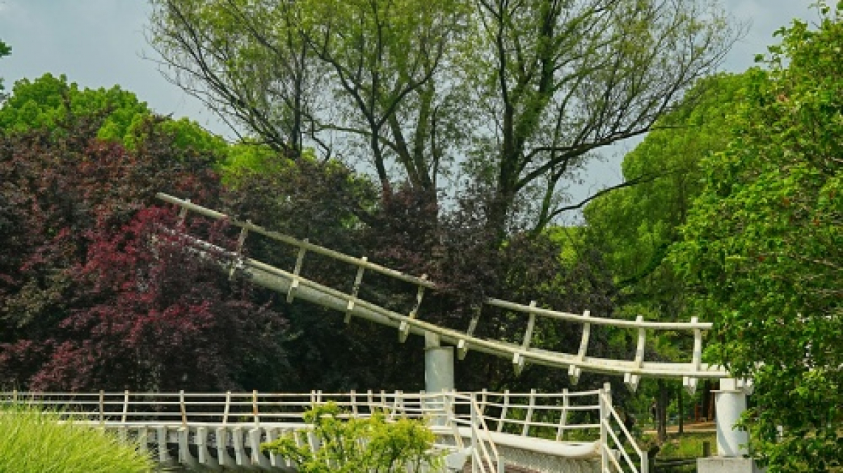 Фото: Hat Trick, unsplash.com