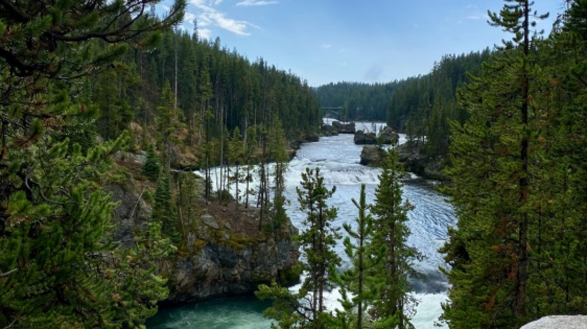 Фото: Judi Smith, unsplash.com