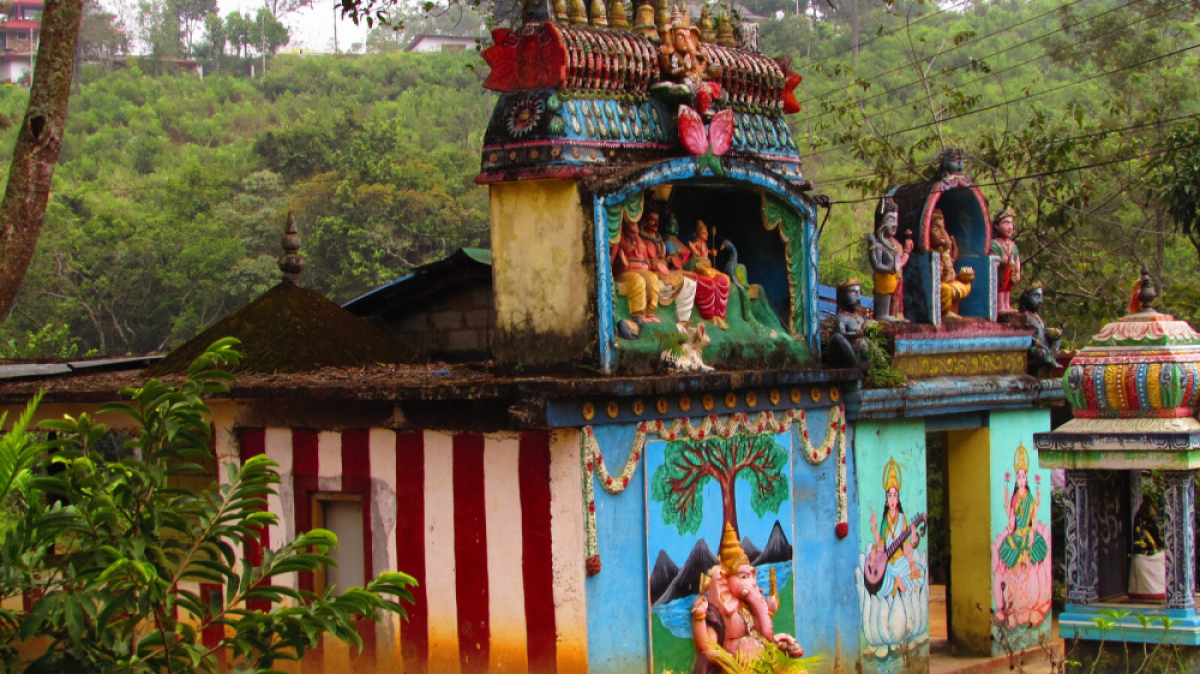 Фото нашего гида Лики Майстровой