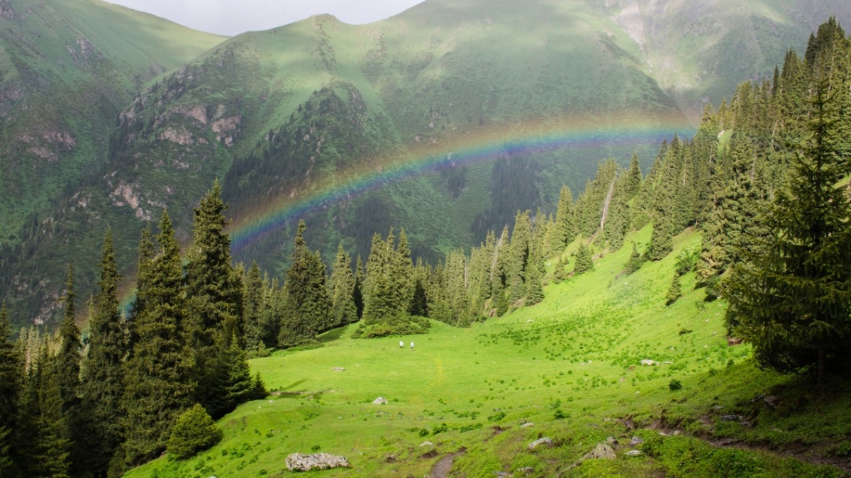 Фото: Жидков Анатолий
