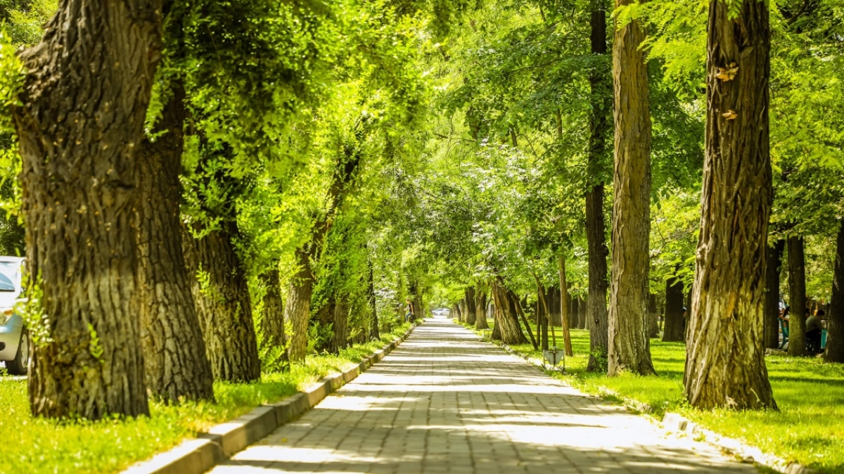 Фото: Vigor Poodo, unsplash.com