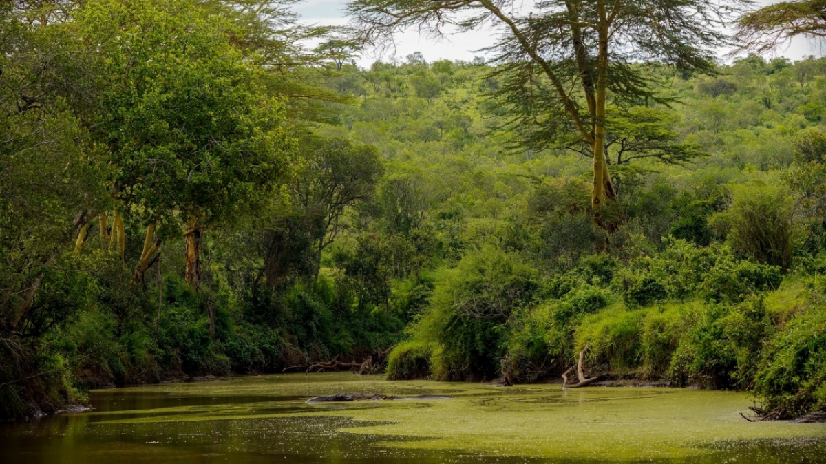 Фото: Leon Pauleikhoff, unsplash.com