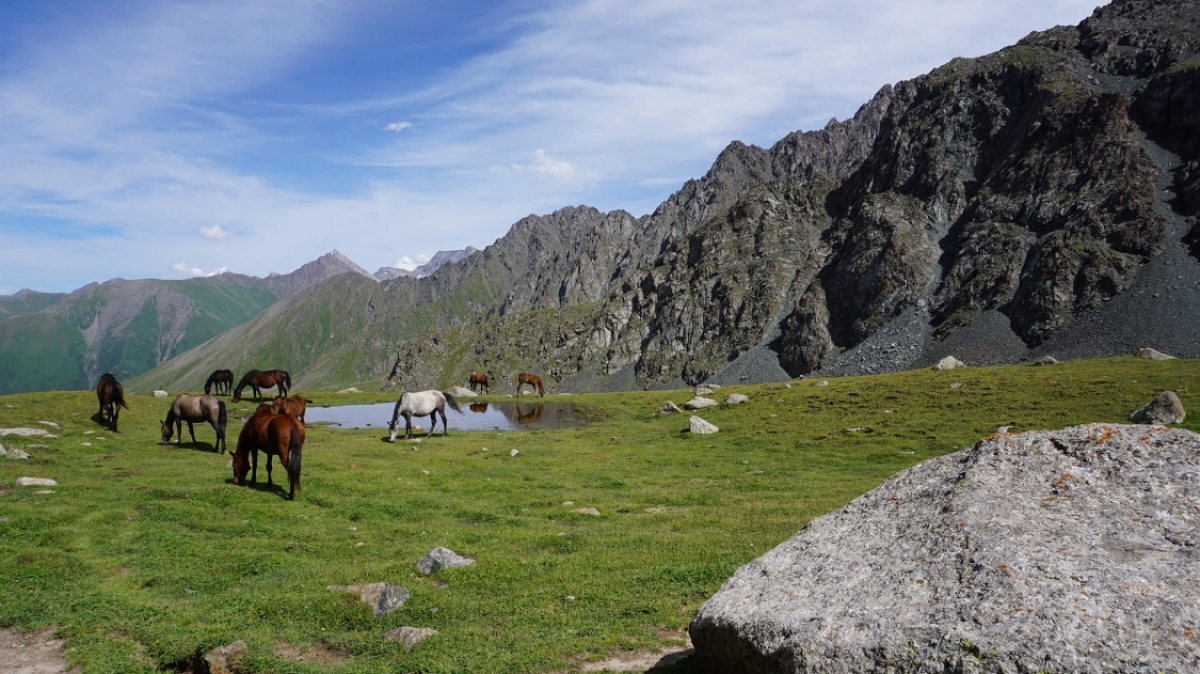 Фото наших Странников