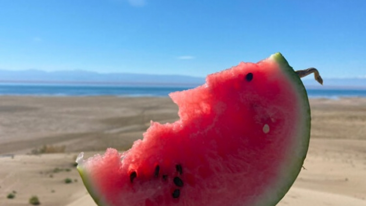 Фото нашего гида Натальи Герасимовой