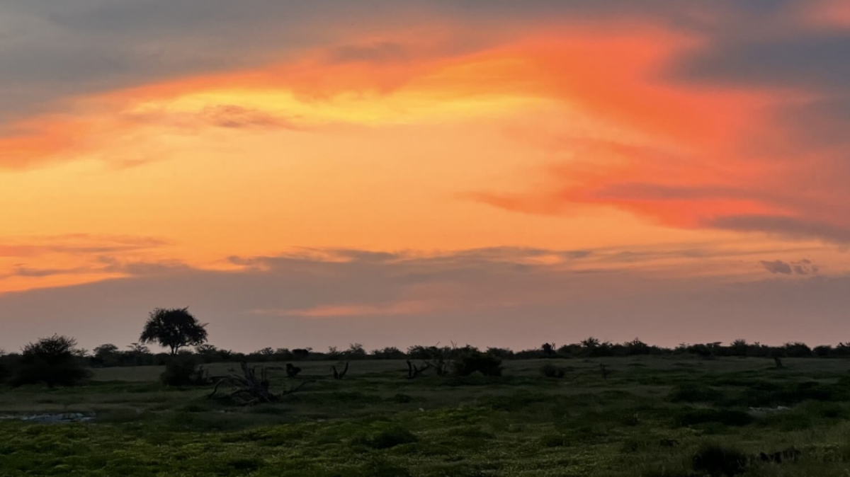 Фото: наш гид Алексей Шорец