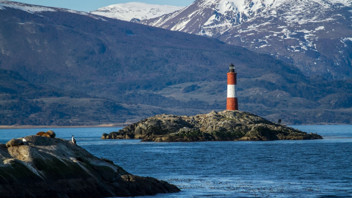 Фото: Dennis Fidalgo, unsplash