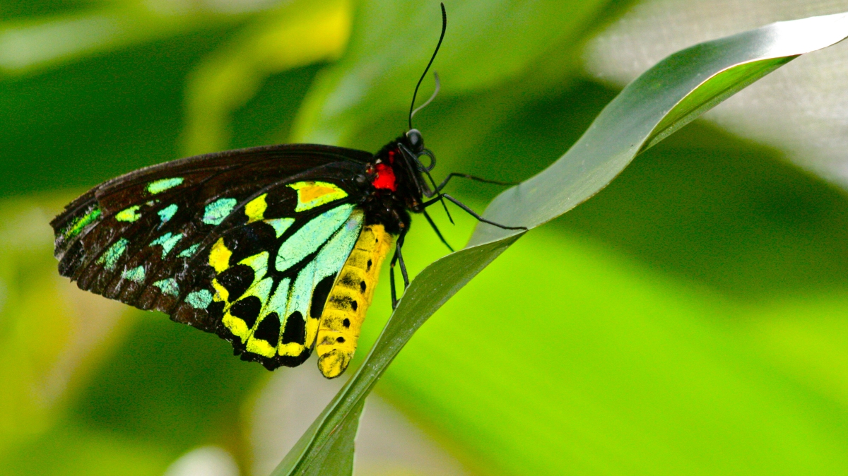 Фото: Kyle Taylor, Dream It. Do It. Источник: visualhunt.com