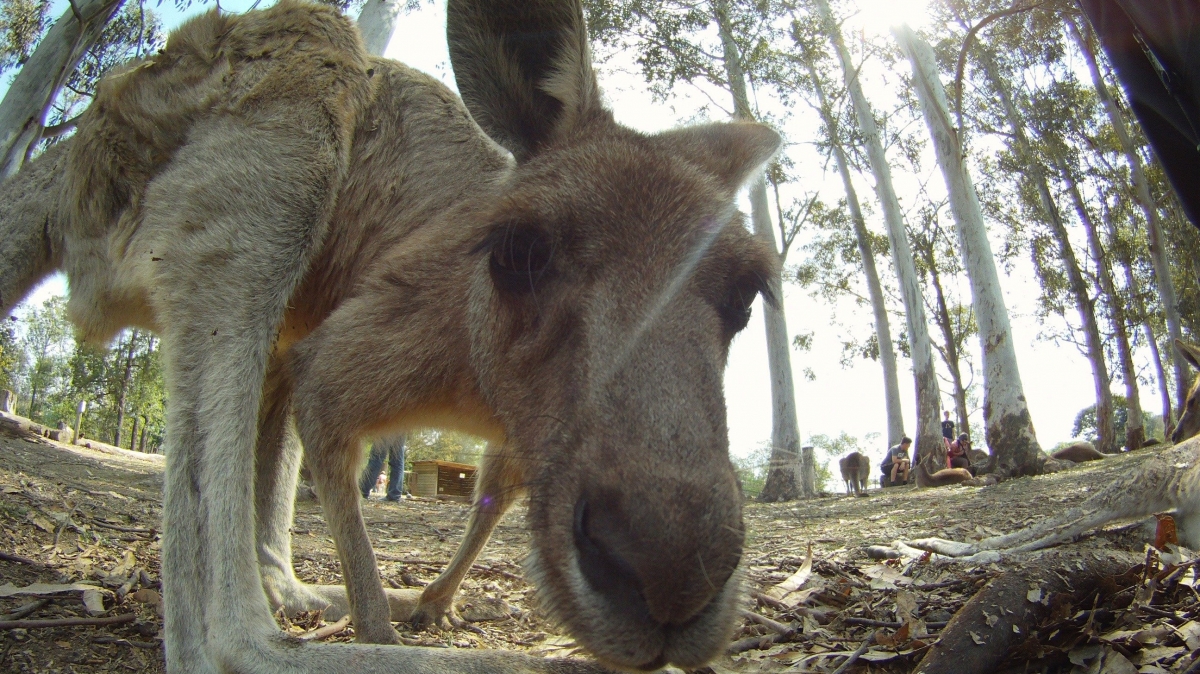 Фото: Juanchito. Источник: visualhunt.com