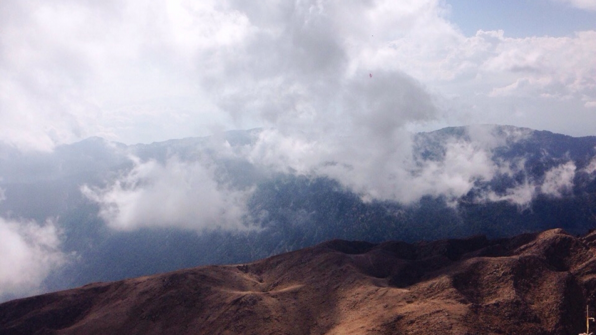 Фото Татьяны Швыряевой