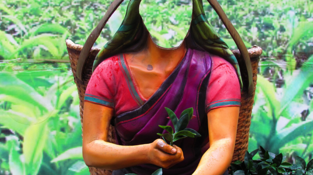 Фото нашего гида Лики Майстровой