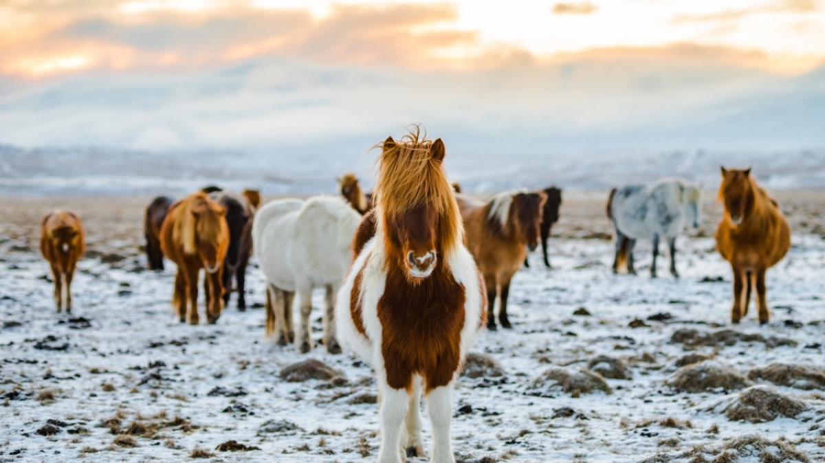 Фото: Redcharlie, unsplash.com