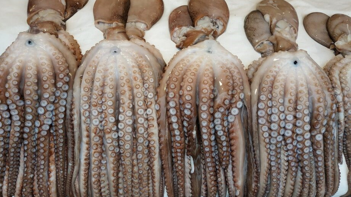 Фото нашего гида Лики Майстровой