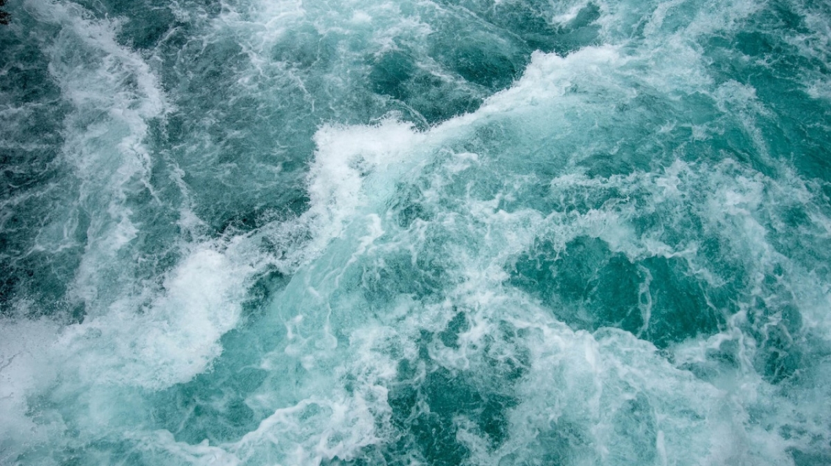 Фото: Matt Power, unsplash.com