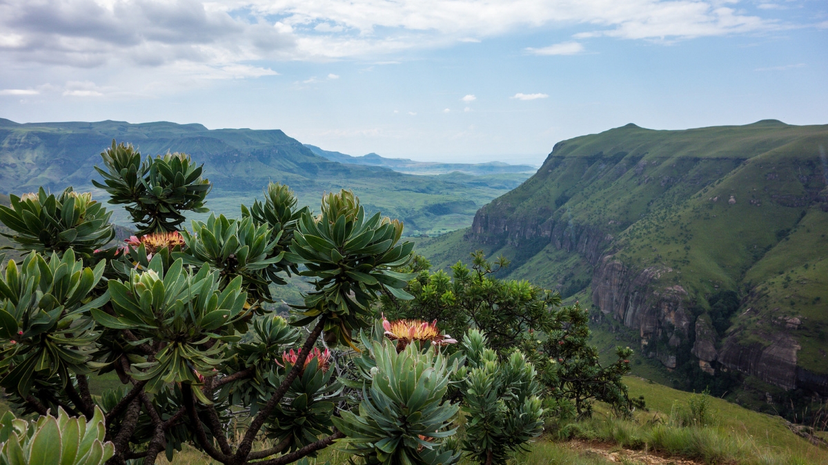 Автор: Visions of Domino, источник: visualhunt