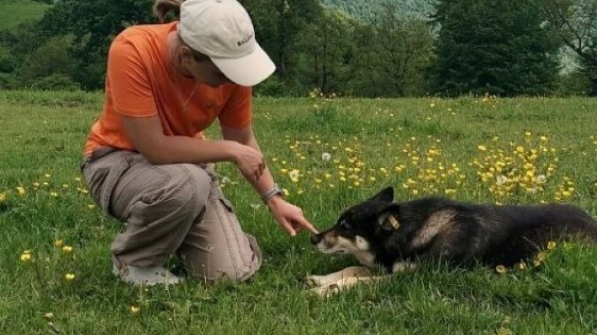 Фото нашего гида Марии Тергоевой