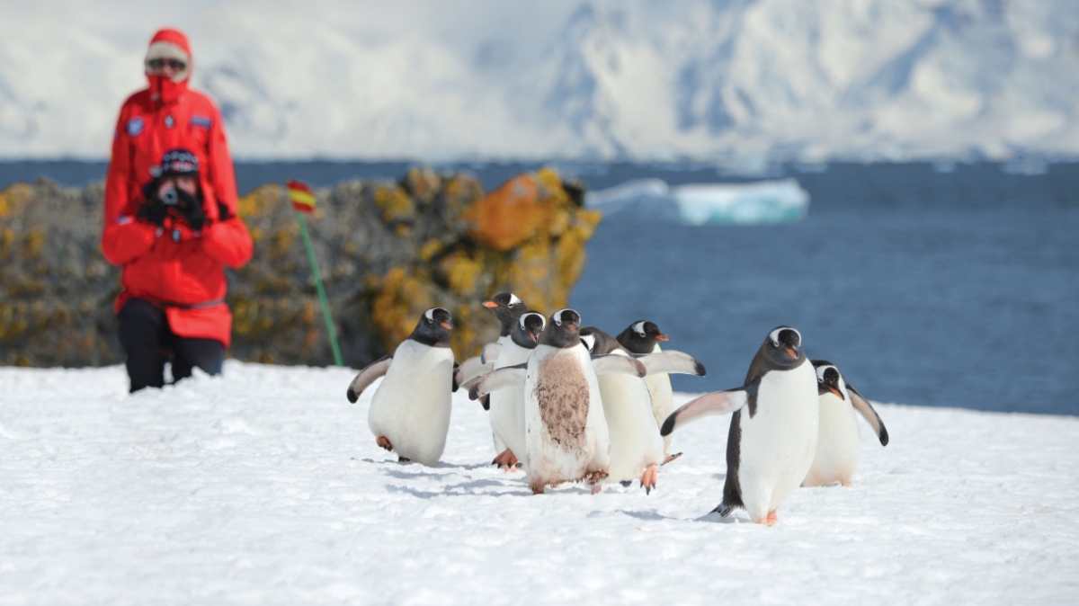 Фото: Poseidon expeditions