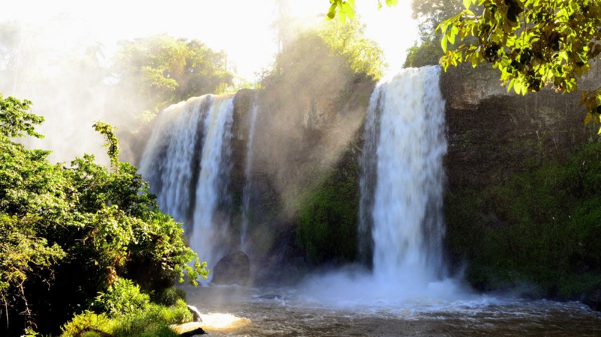 Источник фото:  Papa Pic on Visual hunt 