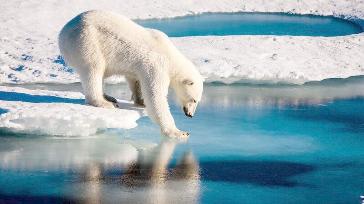 Фото: NASA Goddard Photo and Video, visualhunt.com