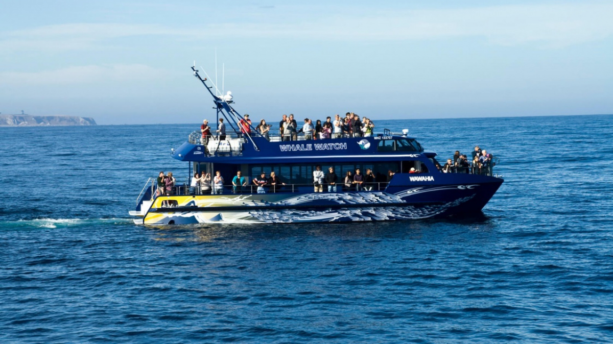 Фото: The Grey Panther, источник: visualhunt.com