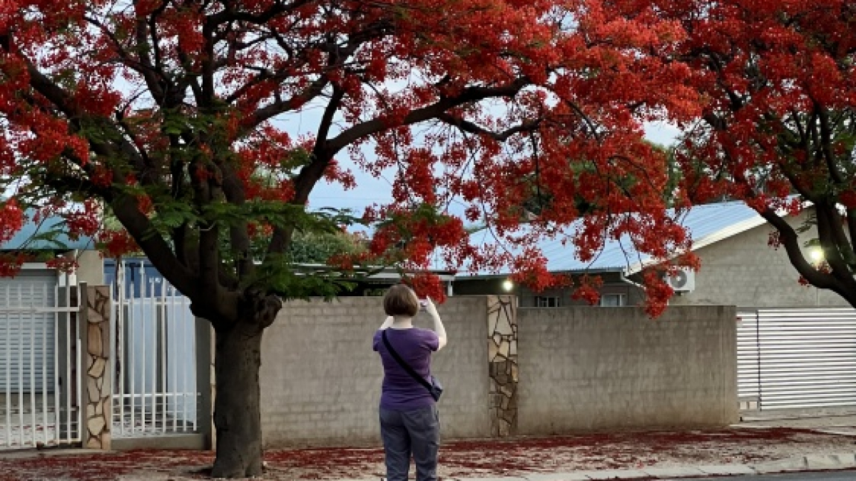 Фото: наш гид Алексей Шорец