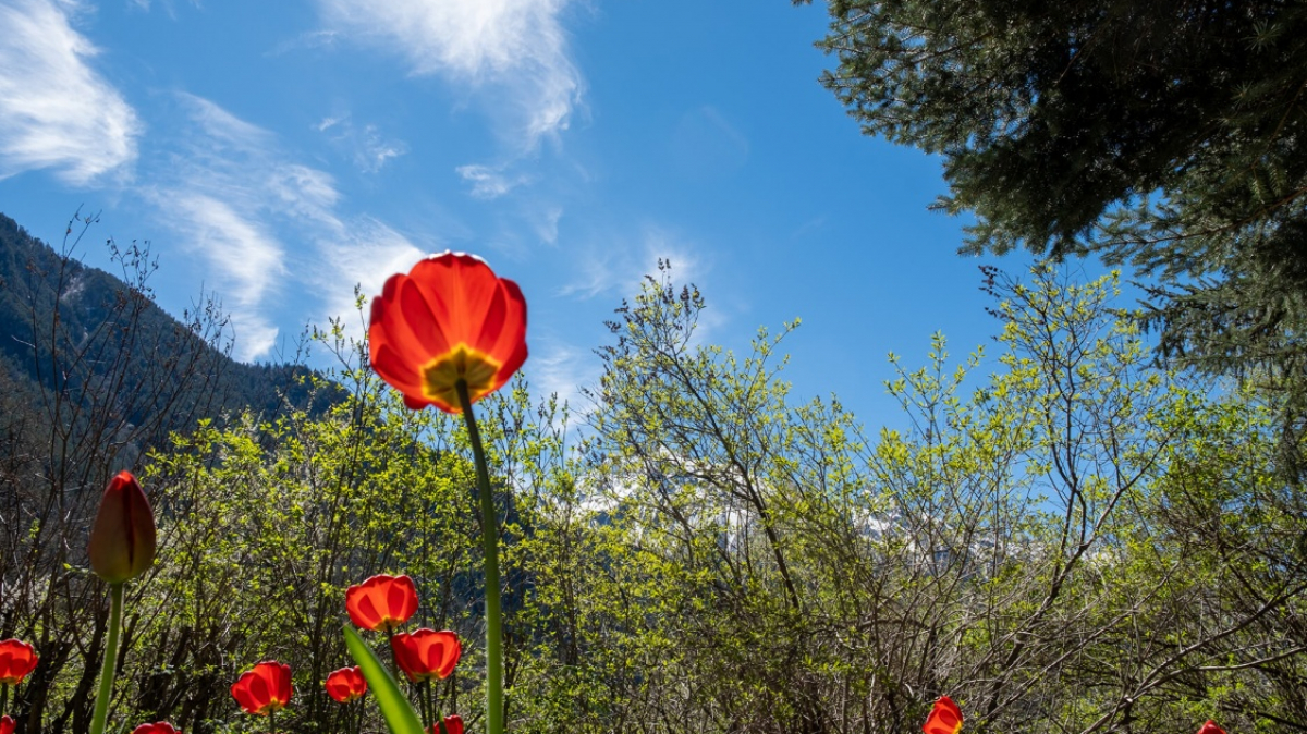 Фото нашего Странника Кирилла Родионова