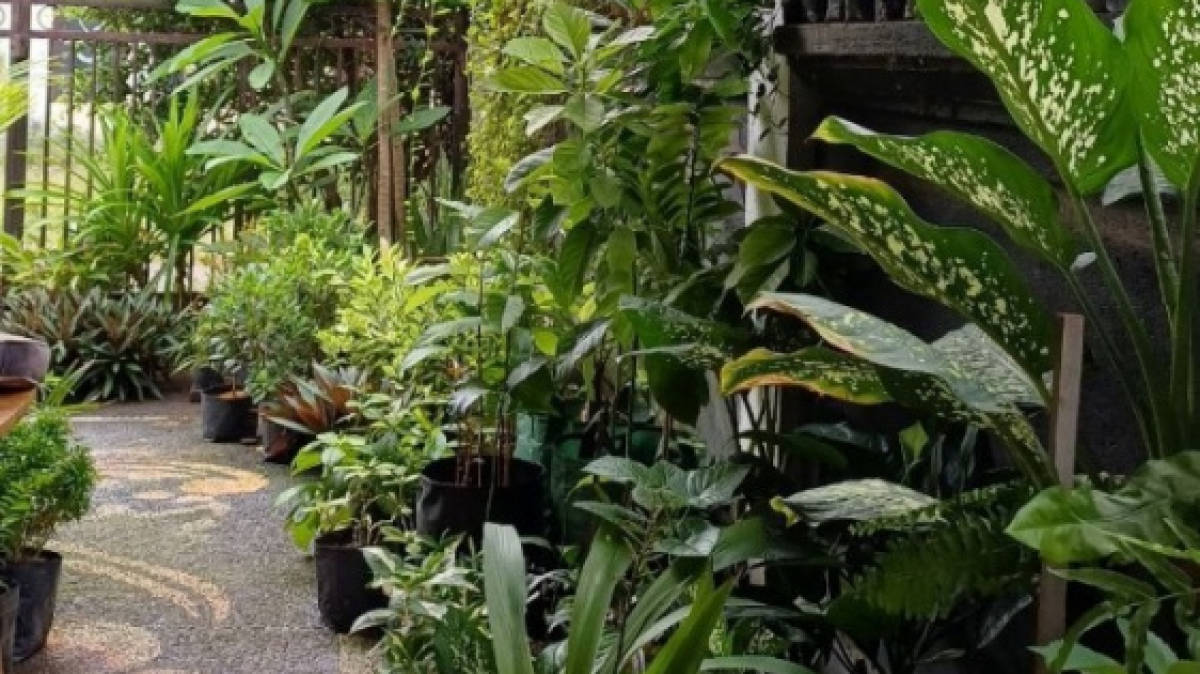 Фото нашего гида Лики Майстровой