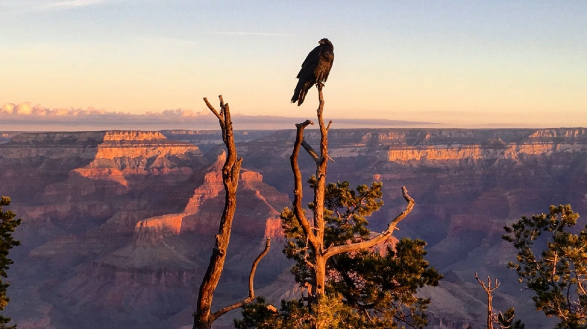 Фото: Jared Verdi, unsplash.com