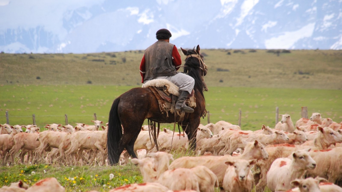 Источник фото:  magical-world on VisualHunt.com